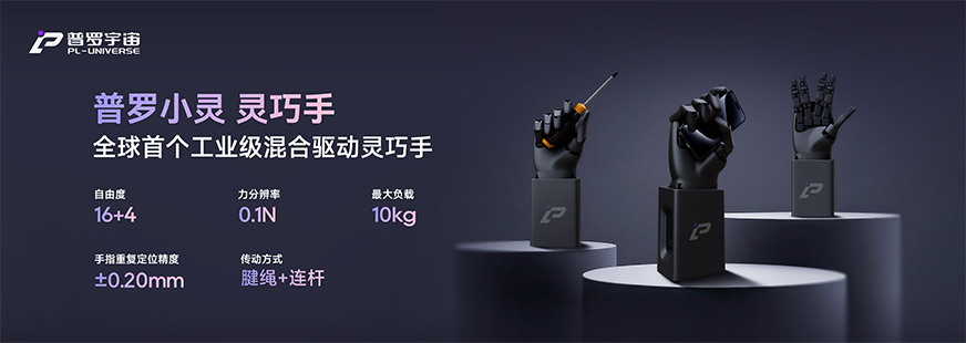 1765249427177726.jpg +7.jpg